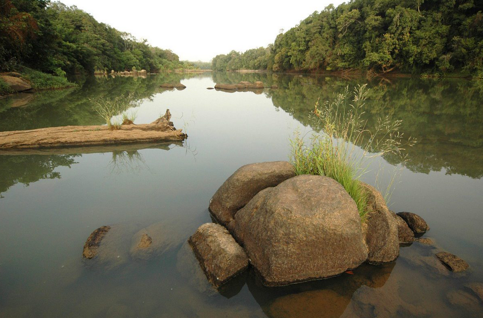 Comoe National Park, Northeastern Côte d'Ivoire, Côte d'Ivoire